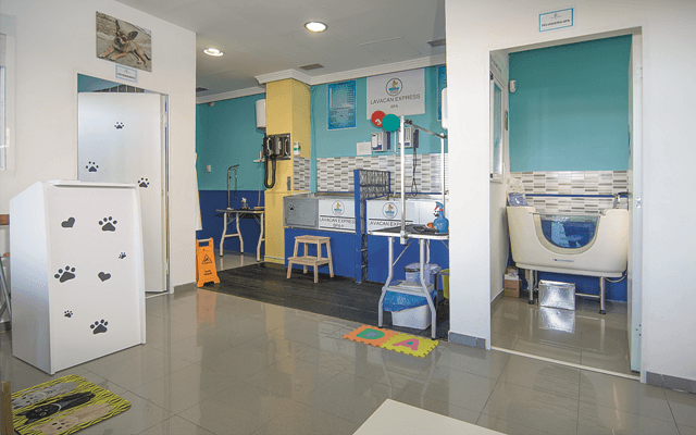 Clínica veterinaria Claw & Cuddles